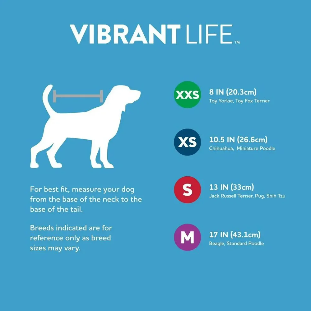 Vibrant Life All You Need Is Love Cat and Dog T-Shirt, Pink, Medium